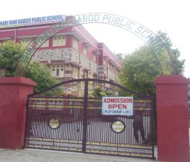 Shri Hari Ram Saboo Public School