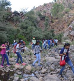 Jaipur School