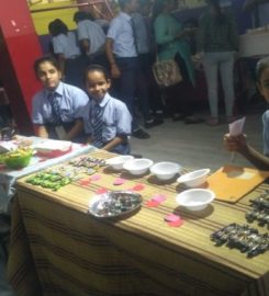 Vidya Shree Academy Sr. Sec. School