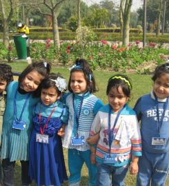 Dolphin Kids