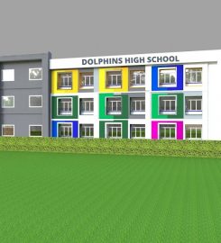 Dolphins Group of Schools