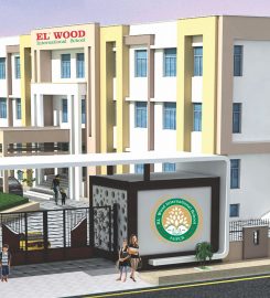 ELWOOD INTERNATIONAL SCHOOL